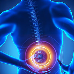 Back & Spine Pain